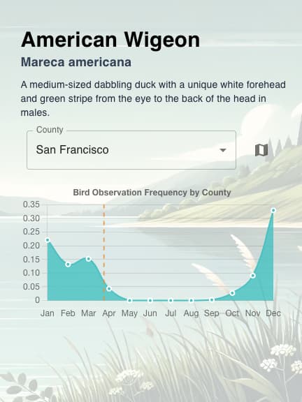 search_catalog_banner